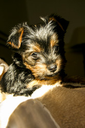 Similar image 13043564