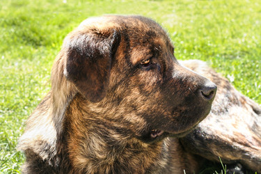 Similar image 13043582