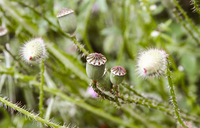 Similar image 13043601