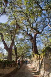 Similar image 13043644