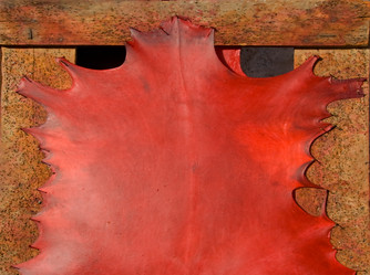 Similar image 13036401