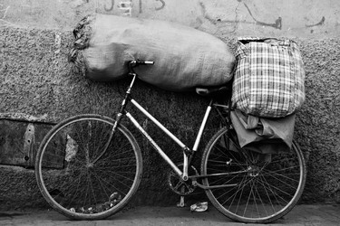 Similar image 13036421