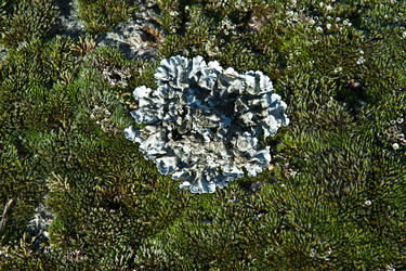 Similar image 13043529