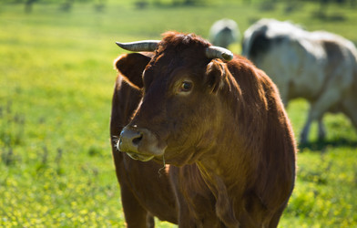 Similar image 13043569