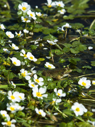 Similar image 13043605