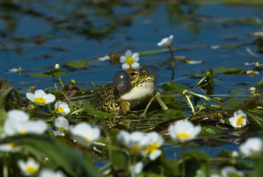 Similar image 13043628