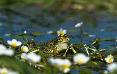 Similar image 13043650