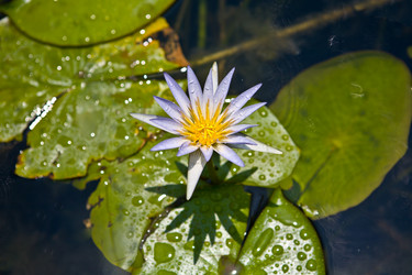 Similar image 13043533