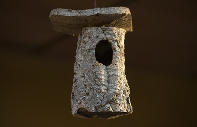 Similar image 13043570