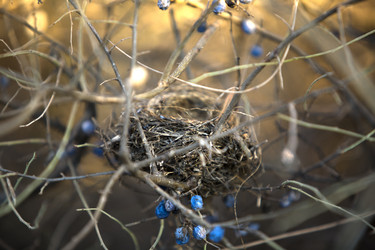 Similar image 13043571