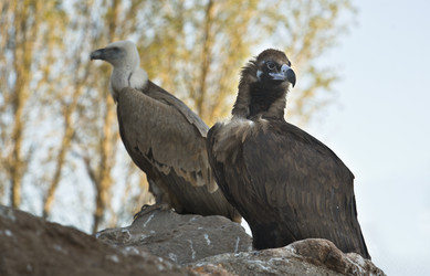 Similar image 13043573