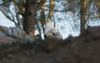 Similar image 13043574