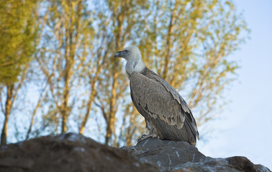 Similar image 13043592