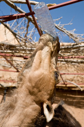 Similar image 13043630