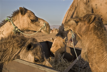 Similar image 13043653