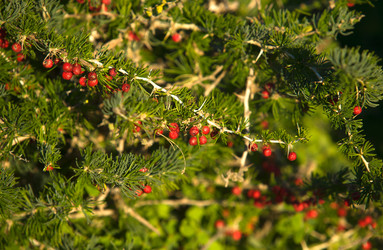 Similar image 13043595