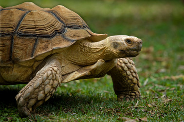 Similar image 13043615