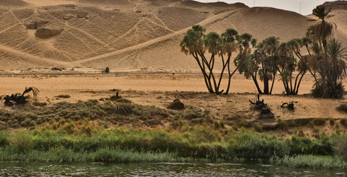 Similar image 13043616