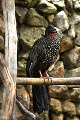 Similar image 13043635