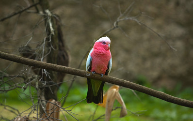 Similar image 13043636