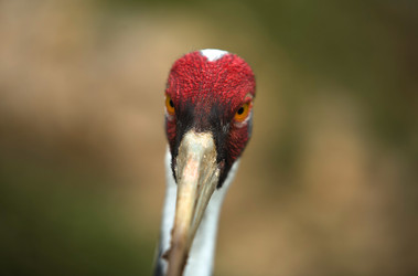 Similar image 13043656