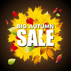 Similar image 13065581