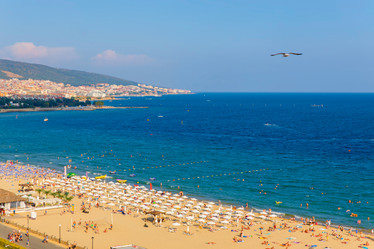 Similar image 13043097