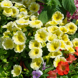 Similar image 13032899