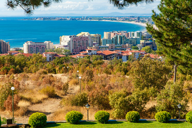 Similar image 13043216