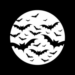 Similar image 13008559