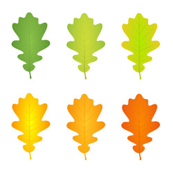 Similar image 13008038