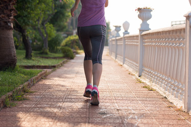 Similar image 13022582