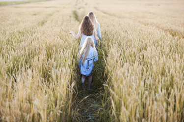 Similar image 13023266