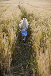 Similar image 13023267