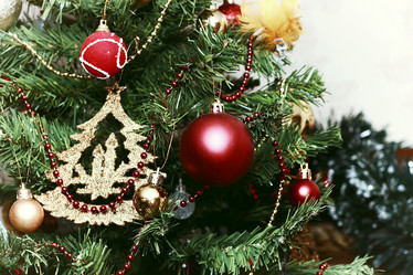 Similar image 13040201