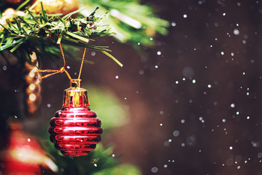 Similar image 13040208