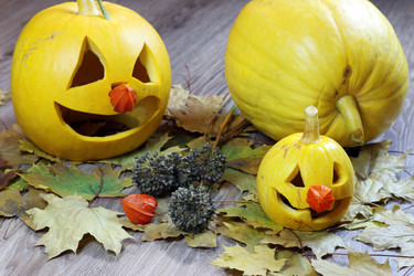 Similar image 13065416