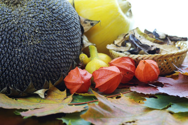 Similar image 13064860