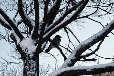 Similar image 13056146