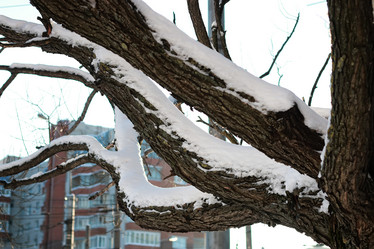 Similar image 13056184