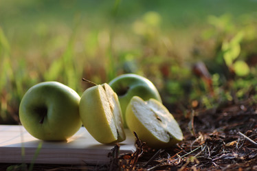 Similar image 13056643