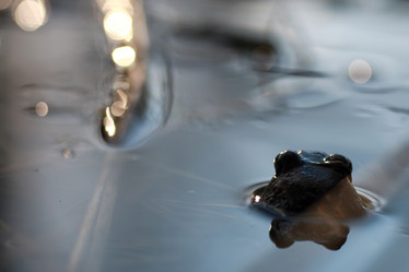 Similar image 13057519