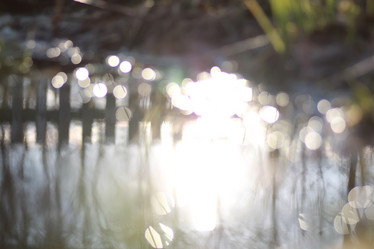 Similar image 13057539