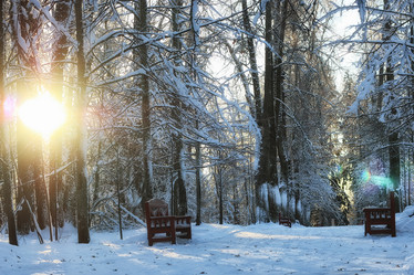 Similar image 13057580