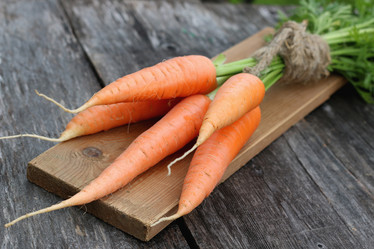 Similar image 13056366