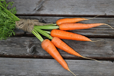 Similar image 13056525