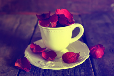 Similar image 13056683