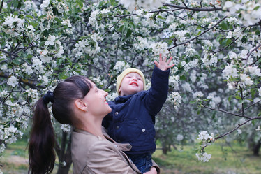 Similar image 13057045