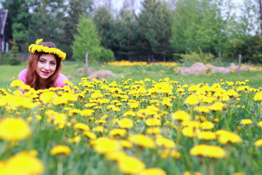 Similar image 13064801