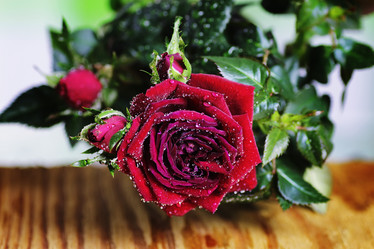 Similar image 13056205